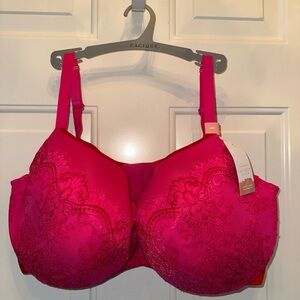 Cacique Fuchsia Lace Bra